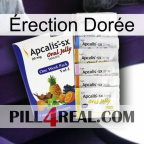 Érection Dorée 11